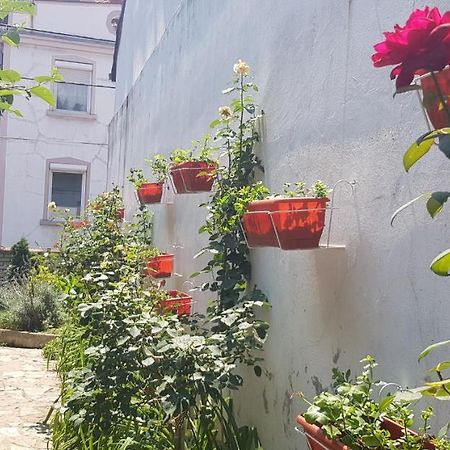 Garden Apartments ベオグラード エクステリア 写真