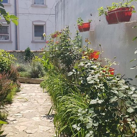 Garden Apartments ベオグラード エクステリア 写真