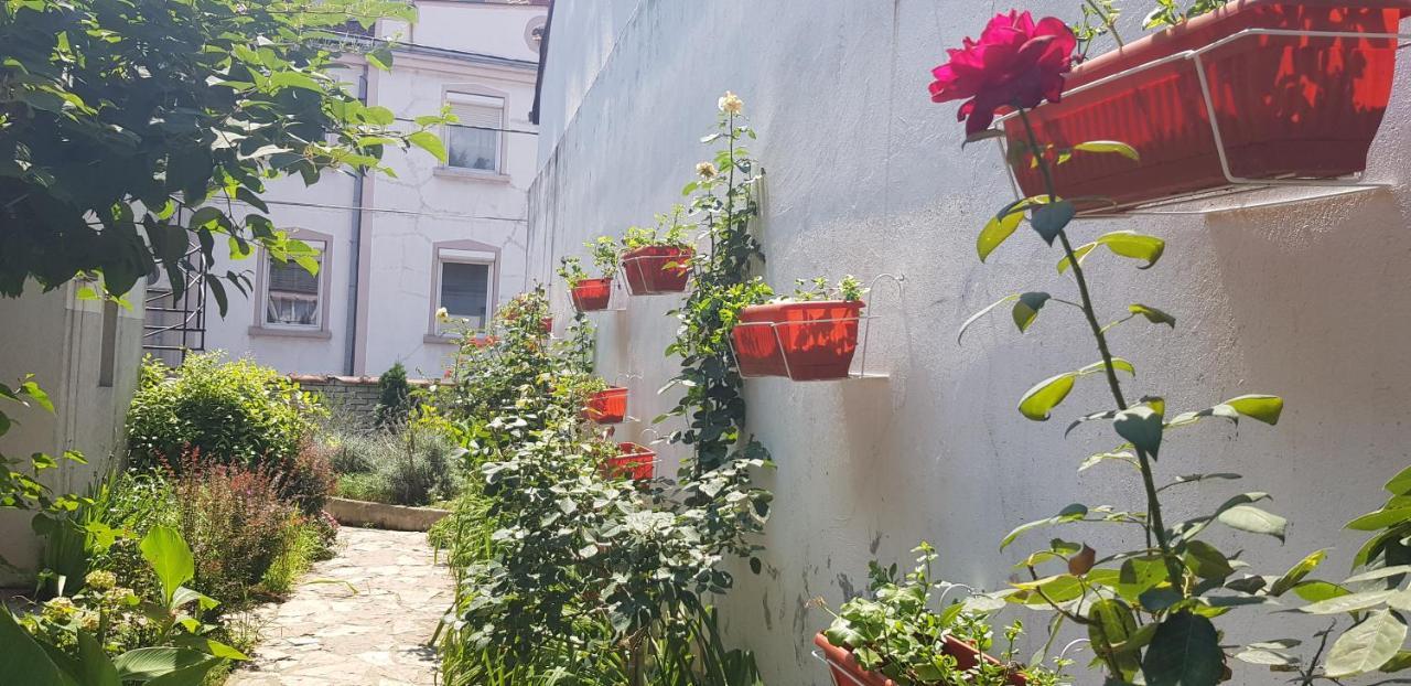 Garden Apartments ベオグラード エクステリア 写真