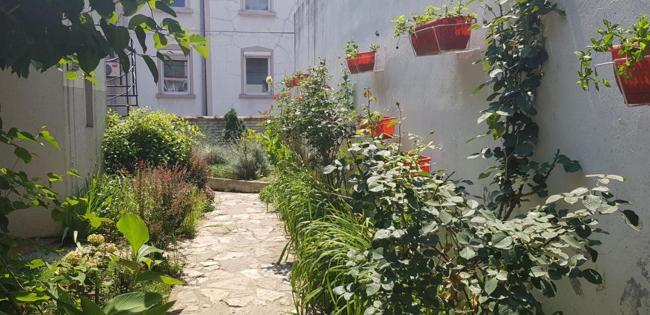 Garden Apartments ベオグラード エクステリア 写真